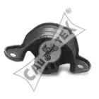 cautex-480087