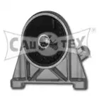 cautex-480479