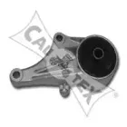 cautex-480478