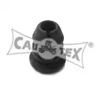 cautex-460107