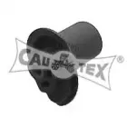 cautex-460110