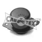 cautex-460886