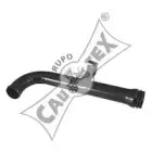cautex-955017