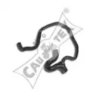 cautex-481111