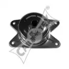 cautex-480563
