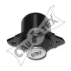 cautex-460033