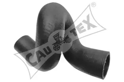 cautex-481218