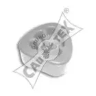 cautex-180608