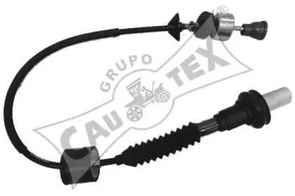 cautex-038313