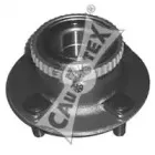 cautex-081005
