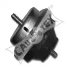 cautex-480501