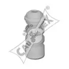 cautex-461200