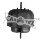cautex-460157