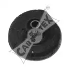 cautex-250066