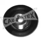 cautex-480540
