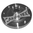 cautex-031004