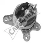 cautex-461145