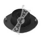 cautex-480115