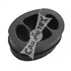 cautex-480607