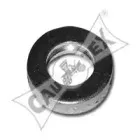 cautex-461197
