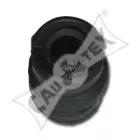 cautex-030930