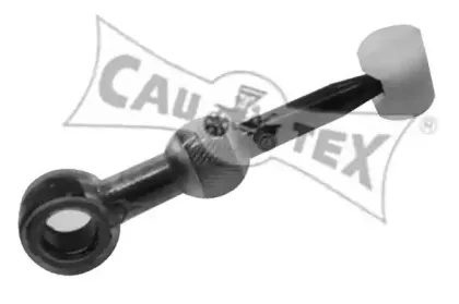 cautex-010622