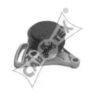 cautex-460982
