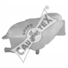 cautex-954081