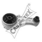 cautex-020475