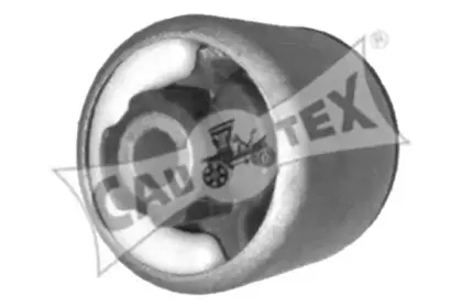cautex-080221