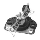 cautex-020408