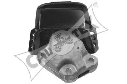 cautex-031504