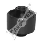 cautex-080122