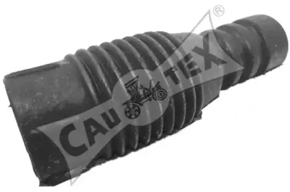 cautex-010922