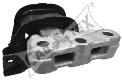 cautex-031502