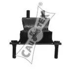 cautex-080136