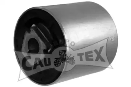 cautex-201540