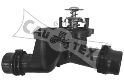 cautex-955408