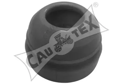 cautex-482508