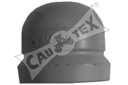 cautex-482507