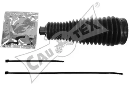 cautex-462504