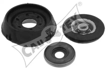 cautex-021320
