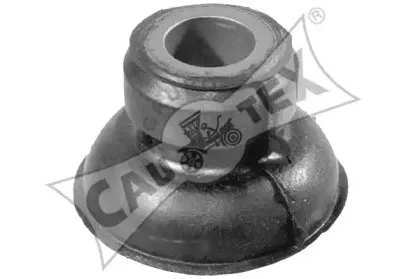 cautex-021337