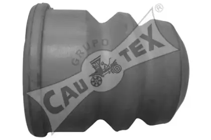 cautex-081229