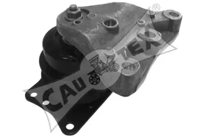 cautex-462468