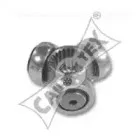 cautex-010957