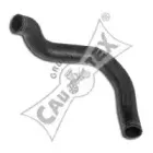 cautex-011418