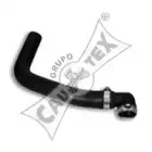 cautex-016403