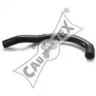 cautex-026080