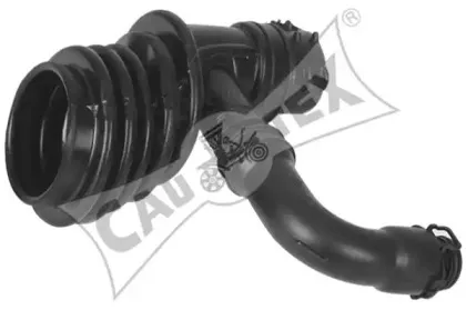 cautex-086752